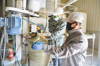 秸秆变艺术 资源化利用的新路径与技术支持探析